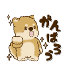 柴犬・茶色い犬【茶色系】よく使う言葉（個別スタンプ：14）