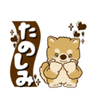 柴犬・茶色い犬【茶色系】よく使う言葉（個別スタンプ：20）