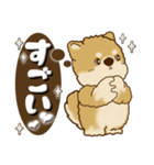 柴犬・茶色い犬【茶色系】よく使う言葉（個別スタンプ：24）