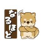 柴犬・茶色い犬【茶色系】よく使う言葉（個別スタンプ：26）