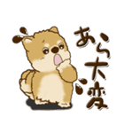 柴犬・茶色い犬【茶色系】よく使う言葉（個別スタンプ：33）