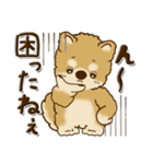 柴犬・茶色い犬【茶色系】よく使う言葉（個別スタンプ：34）