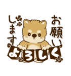 柴犬・茶色い犬【茶色系】よく使う言葉（個別スタンプ：36）