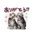 ねこちぃずNEO★日常スタンプ（個別スタンプ：10）