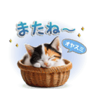 ねこちぃずNEO★日常スタンプ（個別スタンプ：39）