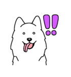 犬種別サモエド(英語Ver)（個別スタンプ：5）