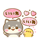 豆柴犬♡にゃんこ♡ぺんぺん大集合（個別スタンプ：3）