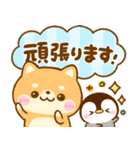 豆柴犬♡にゃんこ♡ぺんぺん大集合（個別スタンプ：10）