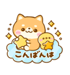 豆柴犬♡にゃんこ♡ぺんぺん大集合（個別スタンプ：13）