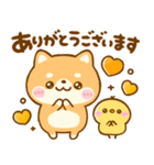 豆柴犬♡にゃんこ♡ぺんぺん大集合（個別スタンプ：23）