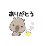 **いつもかぴばら**（個別スタンプ：1）