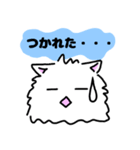 手書きしろねこ【文字有り】（個別スタンプ：24）