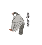 かわいい文鳥の日常（個別スタンプ：4）