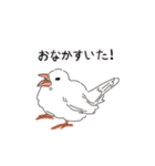 かわいい文鳥の日常（個別スタンプ：5）