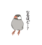 かわいい文鳥の日常（個別スタンプ：9）