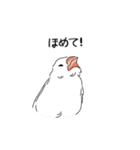 かわいい文鳥の日常（個別スタンプ：13）