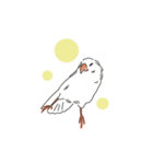 かわいい文鳥の日常（個別スタンプ：16）