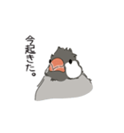 かわいい文鳥の日常（個別スタンプ：18）