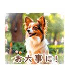 世界の犬図鑑:日本語（個別スタンプ：10）