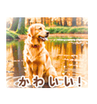 世界の犬図鑑:日本語（個別スタンプ：20）