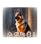 世界の犬図鑑:日本語（個別スタンプ：24）