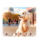 世界の犬図鑑:日本語（個別スタンプ：30）