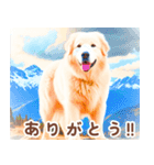 世界の犬図鑑:日本語（個別スタンプ：31）