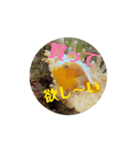 子供心を忘れな嗚呼〜いお魚スタンプセット（個別スタンプ：12）