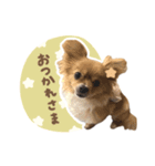 毎日使える♪はなのLINEスタンプ（個別スタンプ：1）