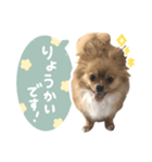 毎日使える♪はなのLINEスタンプ（個別スタンプ：4）