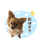 毎日使える♪はなのLINEスタンプ（個別スタンプ：5）