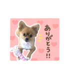 毎日使える♪はなのLINEスタンプ（個別スタンプ：8）