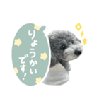 毎日使える♪エメのLINEスタンプ（個別スタンプ：4）