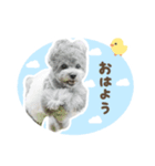 毎日使える♪エメのLINEスタンプ（個別スタンプ：5）