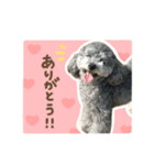 毎日使える♪エメのLINEスタンプ（個別スタンプ：8）