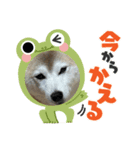 チョコやで4（個別スタンプ：1）