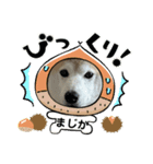 チョコやで4（個別スタンプ：2）