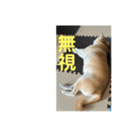 チョコやで4（個別スタンプ：7）