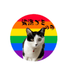 みい子日常使い11（個別スタンプ：5）