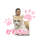 寺テラスタンプ（個別スタンプ：5）