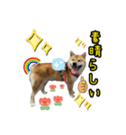 柴すずスタンぷぅ2（個別スタンプ：4）