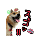 柴すずスタンぷぅ2（個別スタンプ：6）