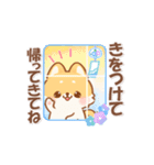 【夏】しばワンコの可愛いスタンプ（個別スタンプ：10）