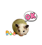 キンクマゆずぴのスタンプ（個別スタンプ：10）