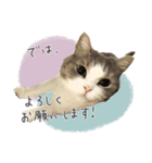 #054 福太郎 ＊asachi（個別スタンプ：7）