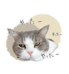 #054 福太郎 ＊asachi（個別スタンプ：9）
