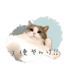 #054 福太郎 ＊asachi（個別スタンプ：13）