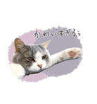 #054 福太郎 ＊asachi（個別スタンプ：15）