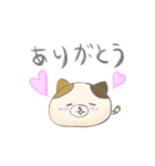 ねこ しょうちゃん 2（個別スタンプ：5）