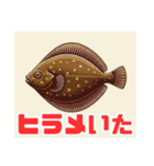 お魚図鑑！ダジャレスタンプ（個別スタンプ：5）